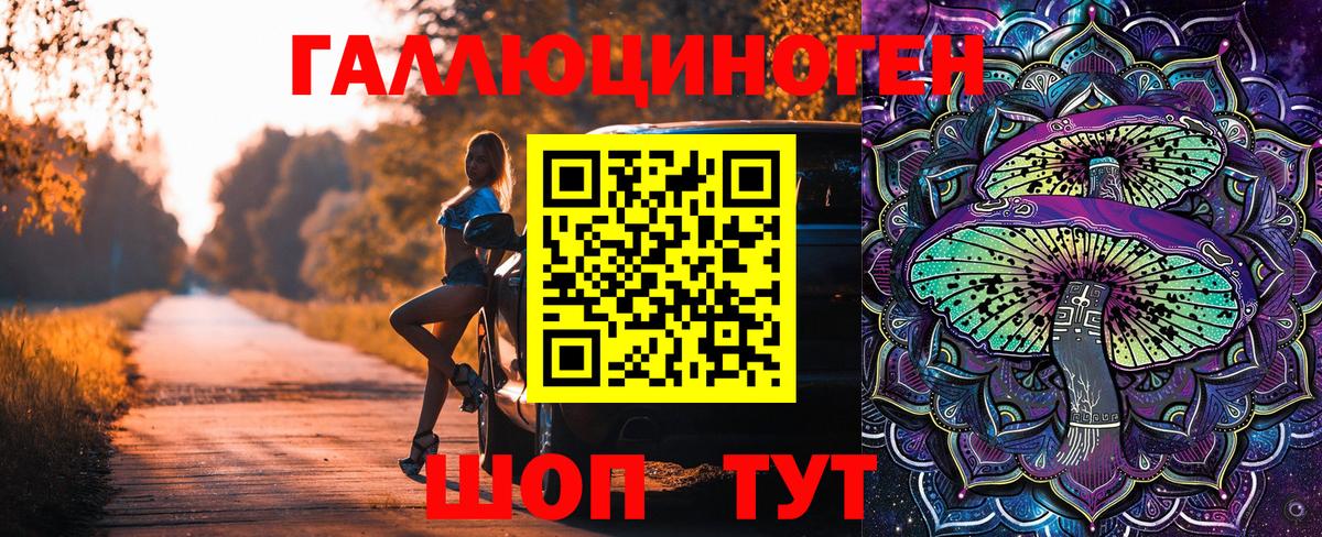 Галлюциногенные грибы Psilocybine cubensis Горячий Ключ